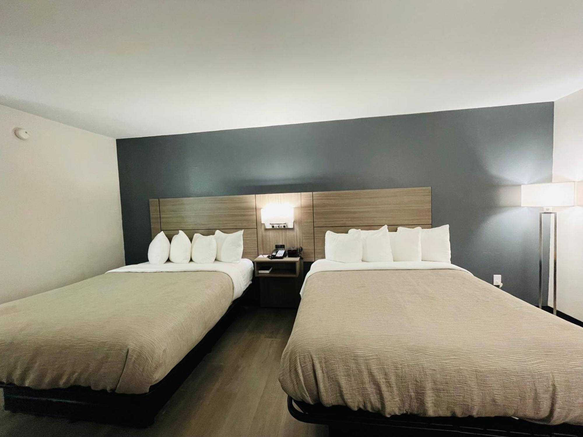 Quality Inn Washington Nc מראה חיצוני תמונה